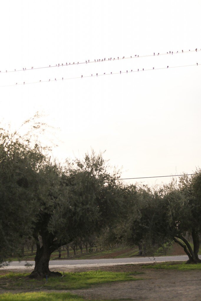 Jan2014 (214 of 363)