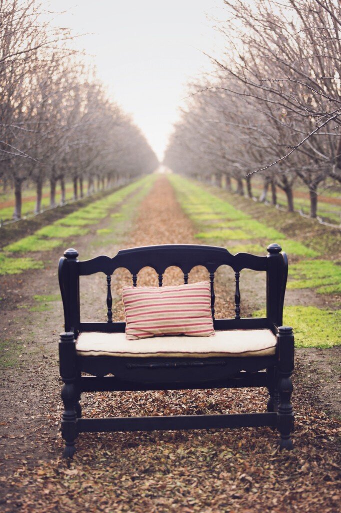 Jan2014 (314 of 363)