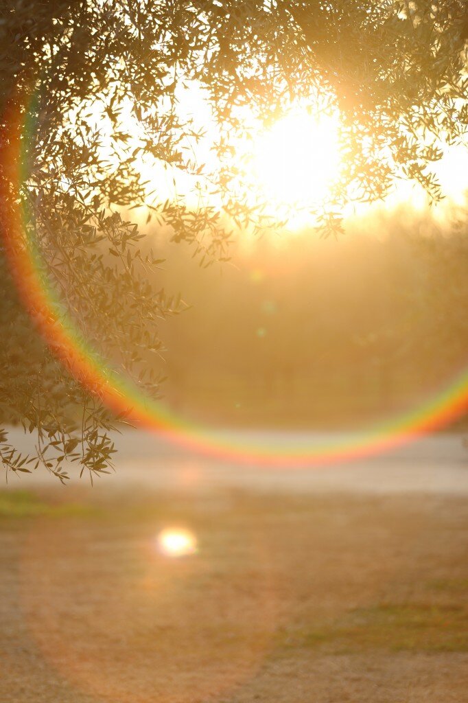 Jan2014 (216 of 363)