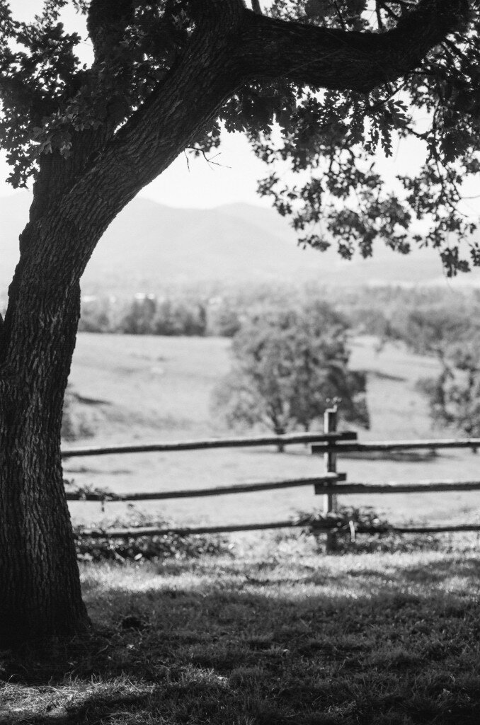 Drew&Liv (259 of 262)