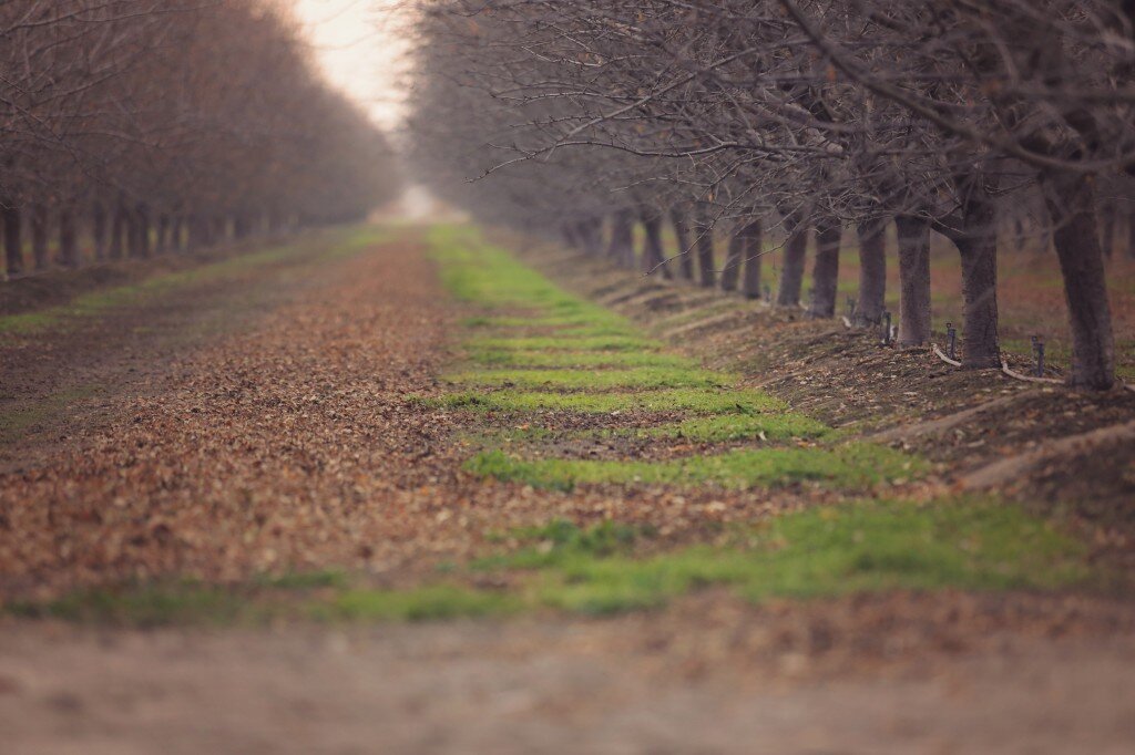 Jan2014 (362 of 363)