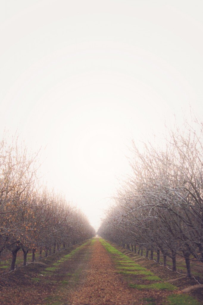 Jan2014 (360 of 363)