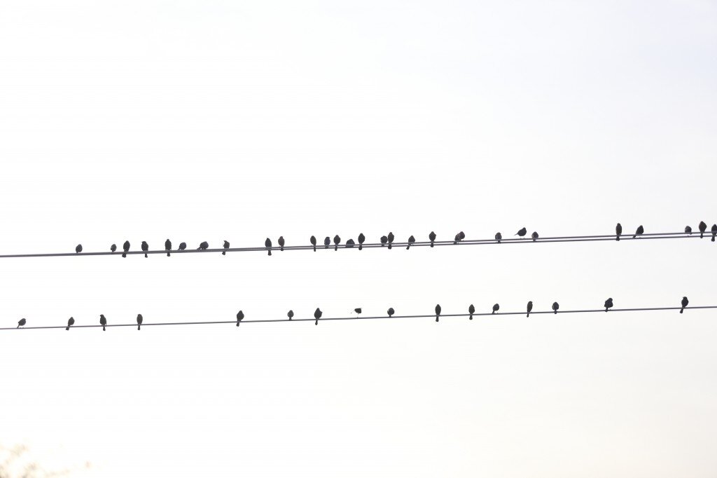 Jan2014 (213 of 363)