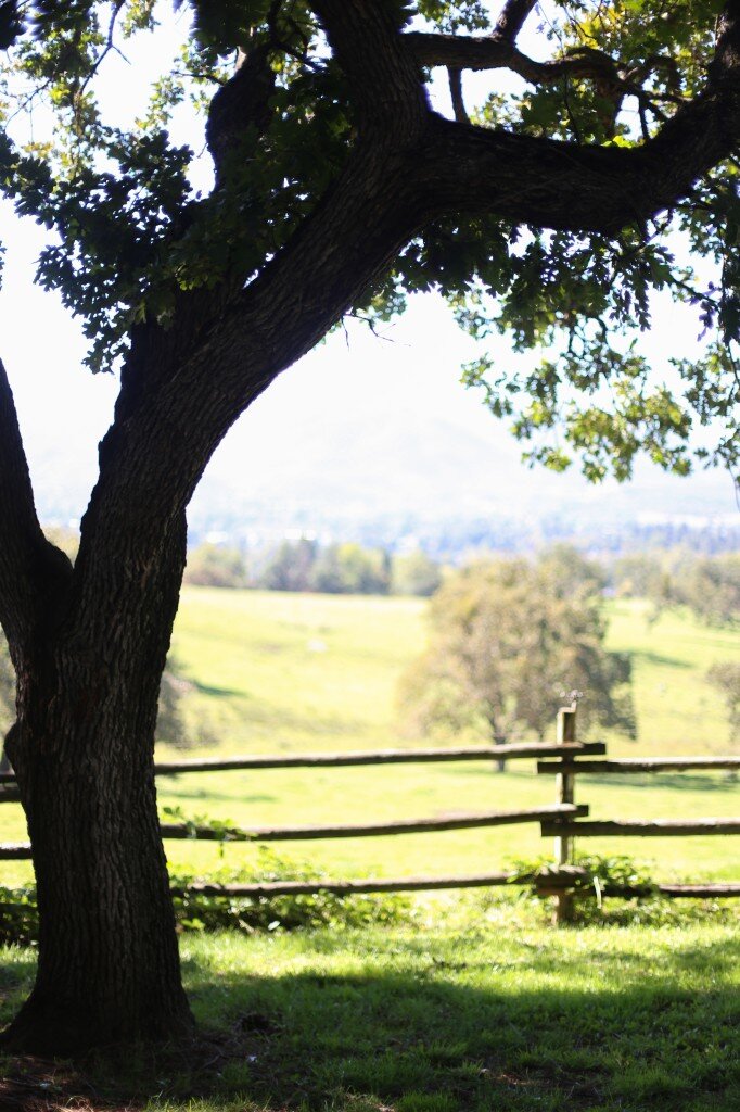 Drew&Liv (123 of 262)