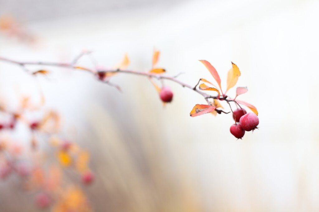 Family 2013 (2 of 193)