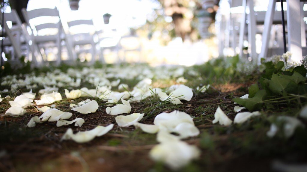 Drew&Liv (158 of 262)